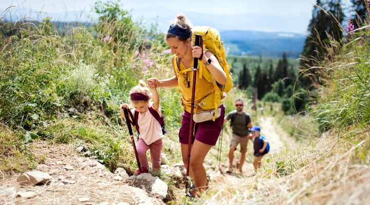 Nyári kullancsinvázió? Mit tehetünk kullancscsípés esetén és a megelőzés érdekében?