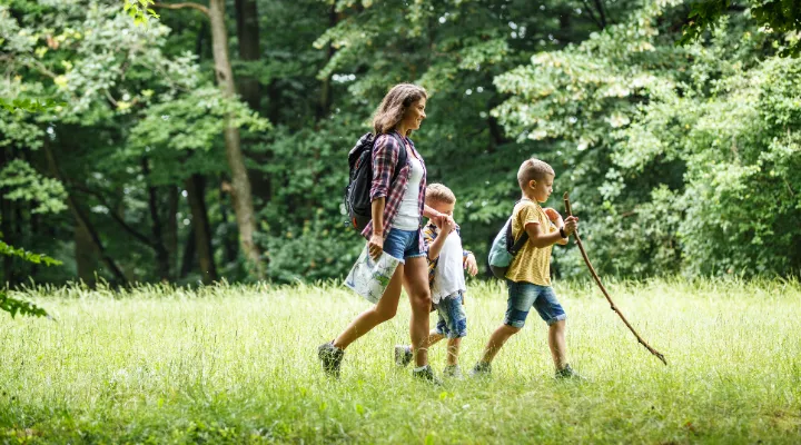 Summer insect bites – When should you see a doctor?